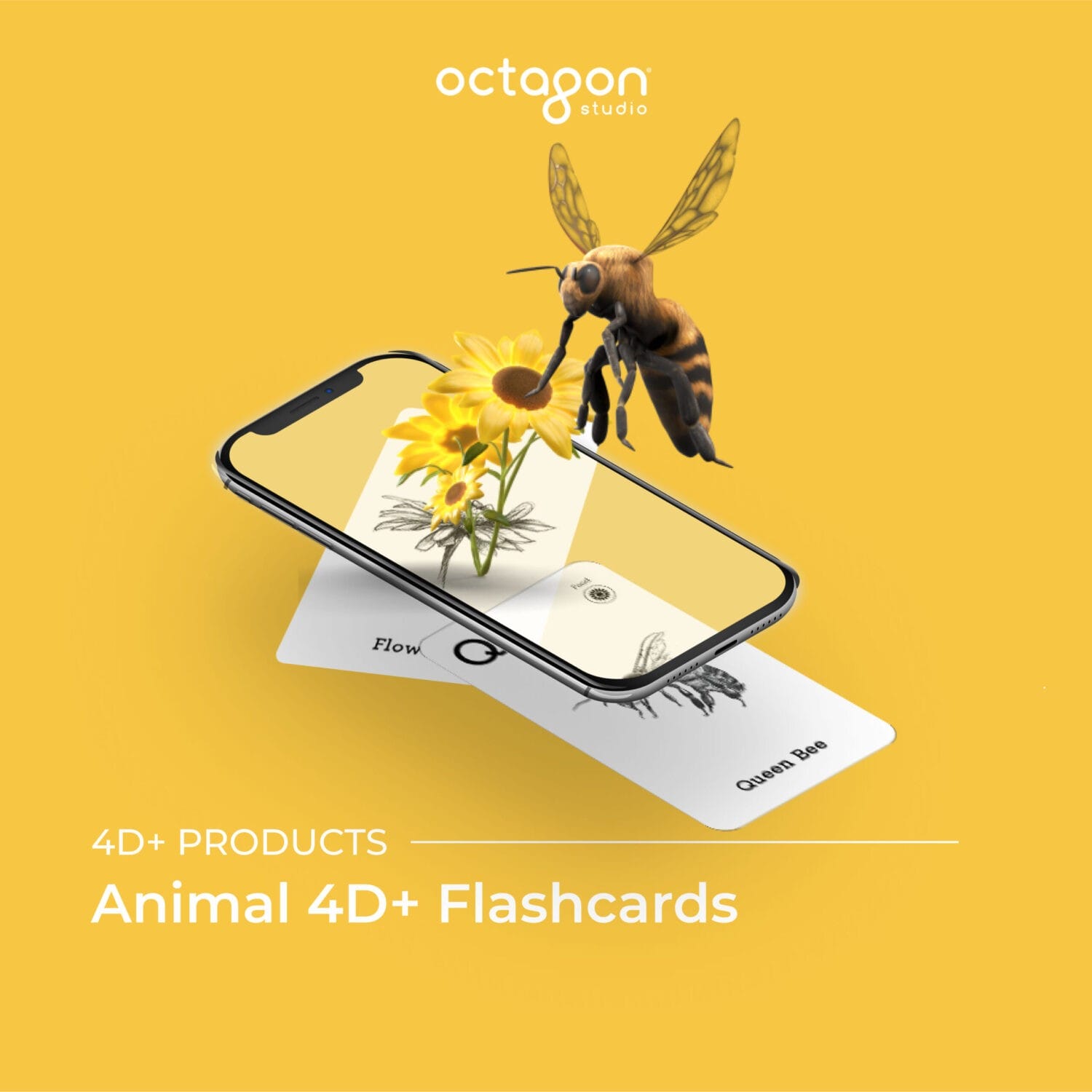 Animal flash cards with augmented reality (AR) feature