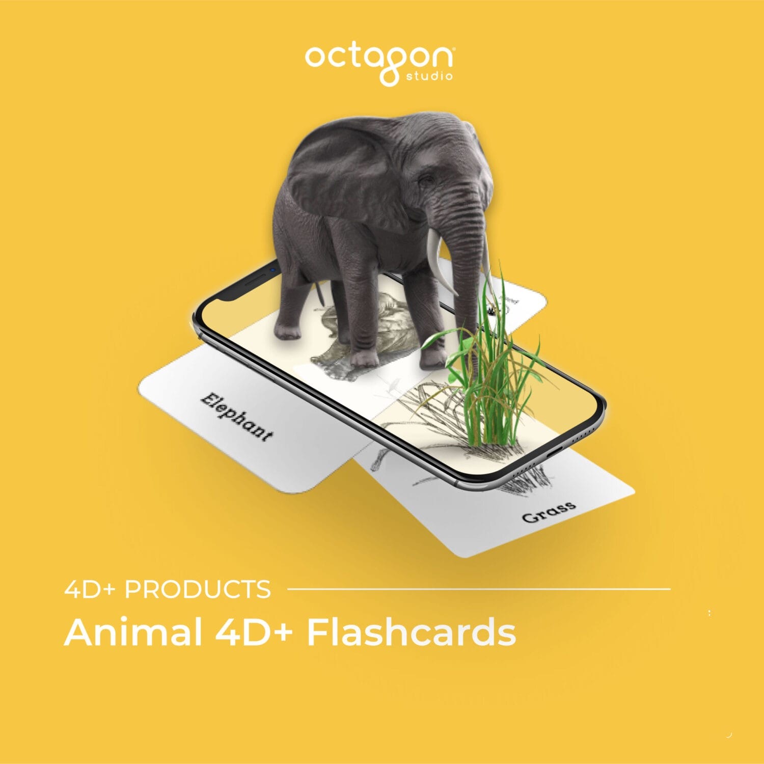 Animal flash cards with augmented reality (AR) feature