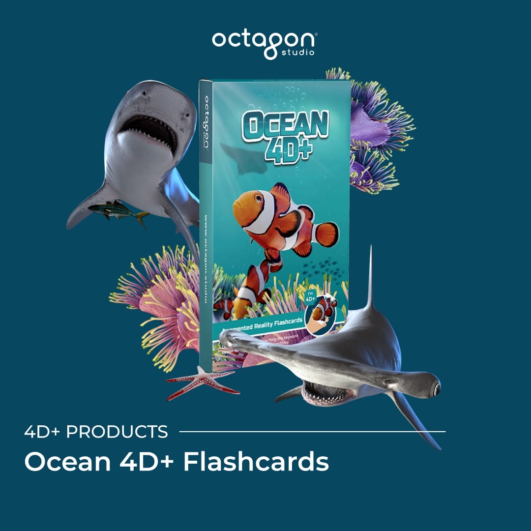 Ocean flash cards with augmented reality (AR) feature