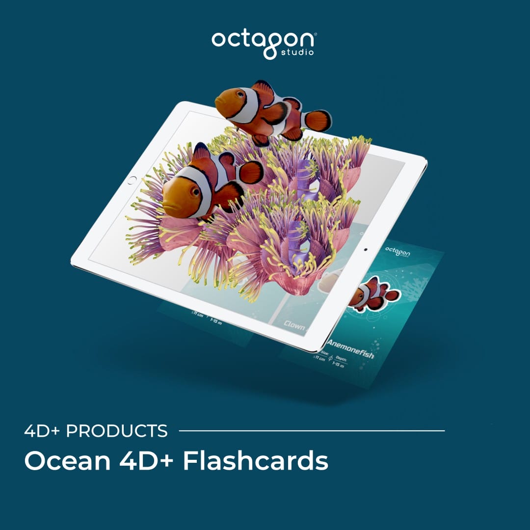 Ocean flash cards with augmented reality (AR) feature