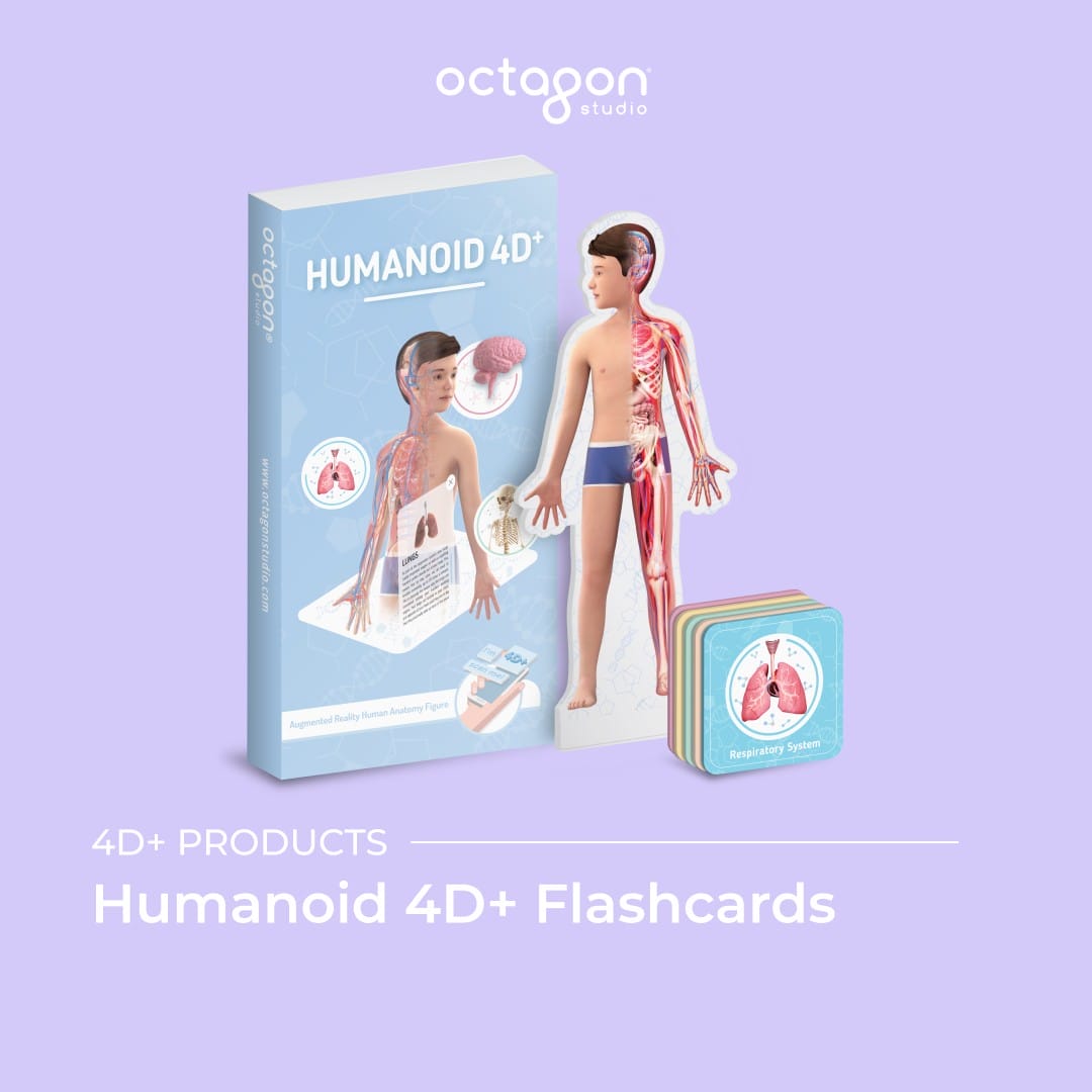 Humanoid 4D+_2
